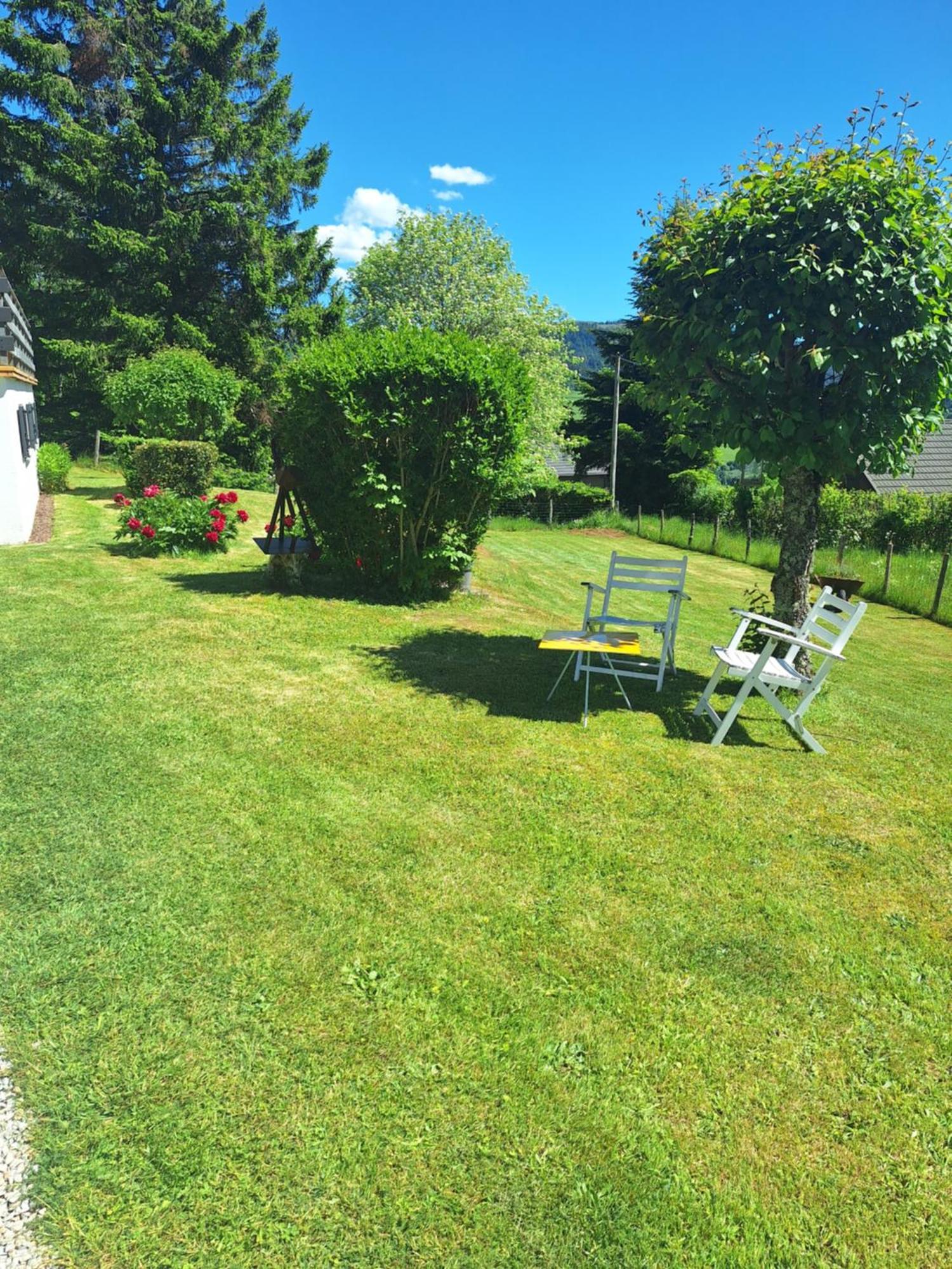 Chalet Dionysos Murat-le-Quaire Kültér fotó